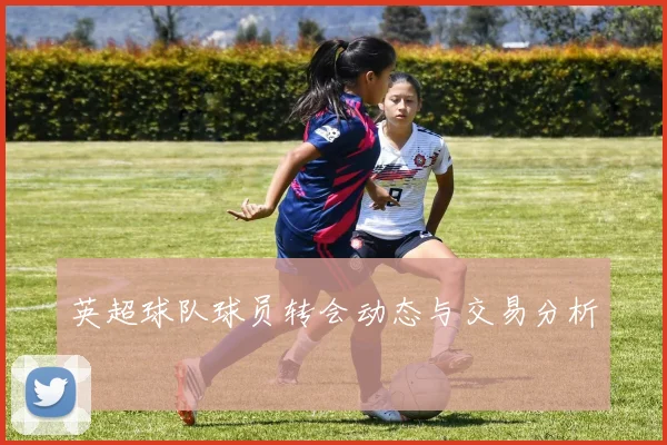 英超球队球员转会动态与交易分析